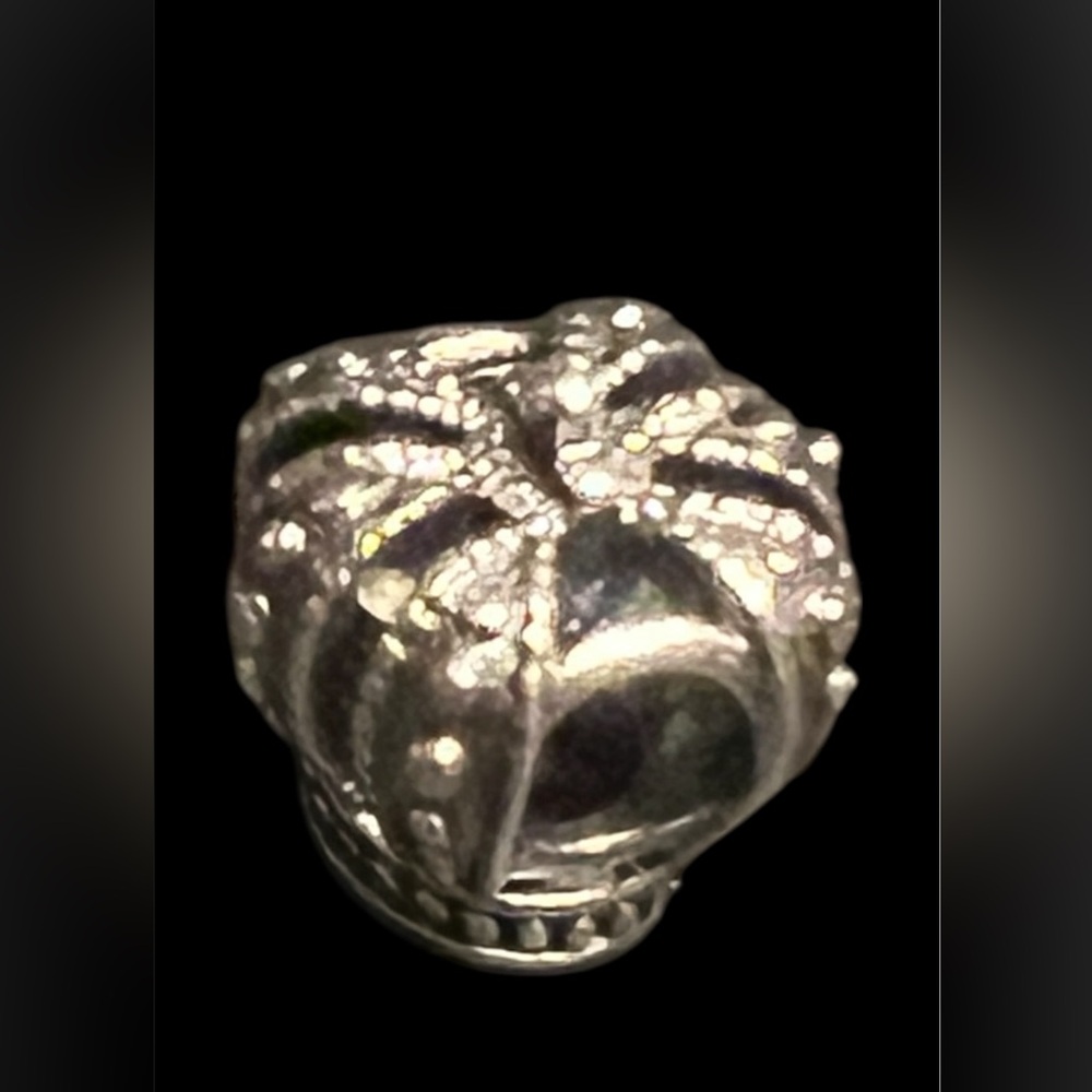 Pandora Bracelet Charm